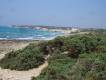 Wave beach Agios Theologos Kefalos