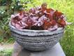 Small black planter 2008