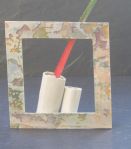 Stem displayer 2008