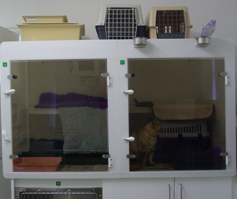 We have separate cat kennels at Park Vets to help make your cat's stay with us